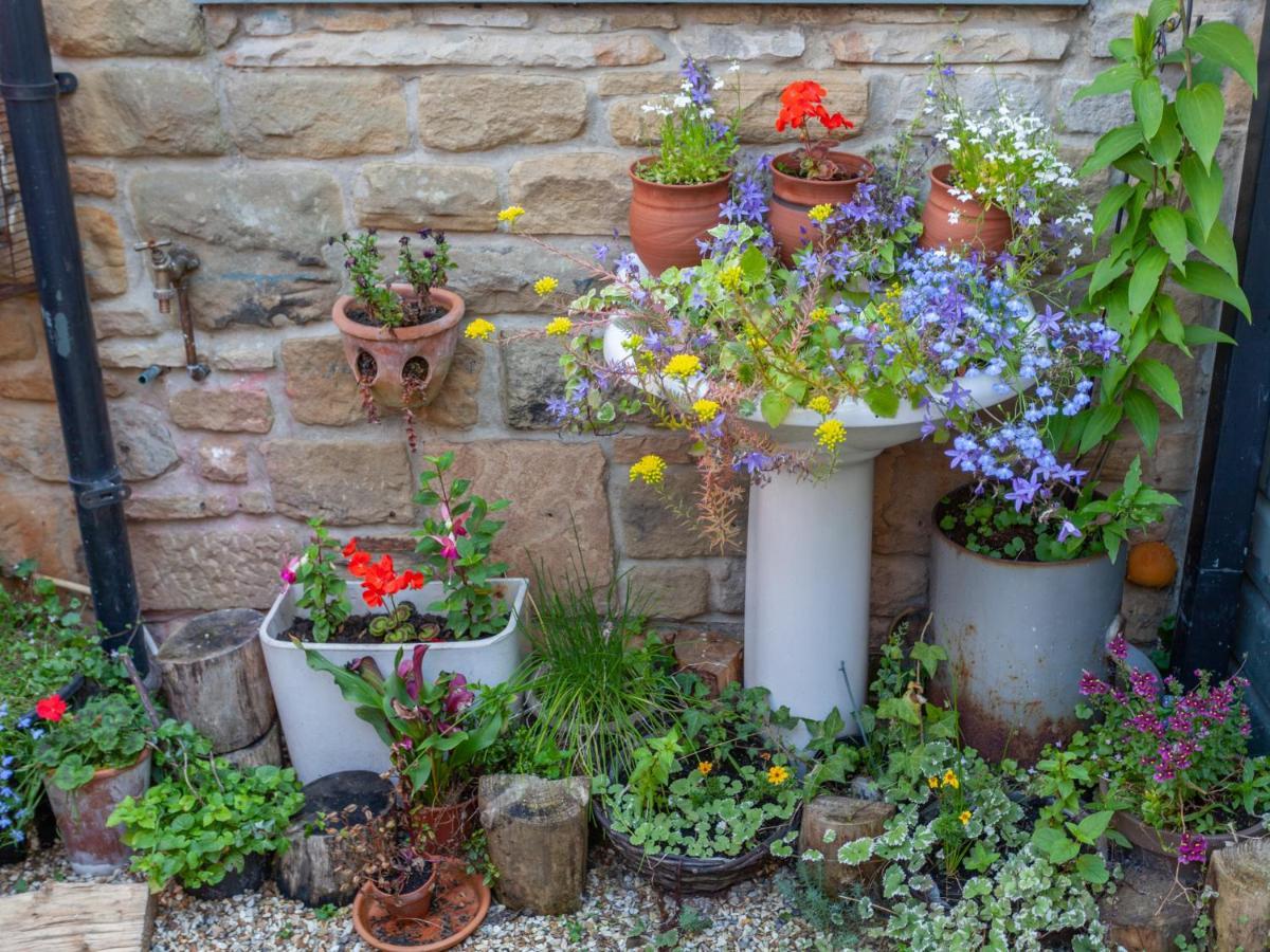 Shaftoe'S Bed And Breakfast Haydon Bridge Exterior foto